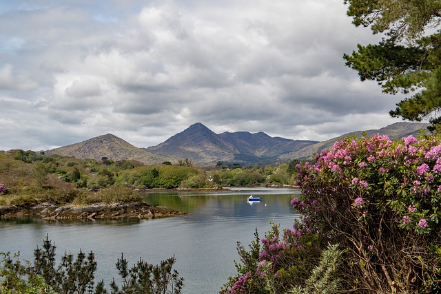 Moving Company Ireland to UK