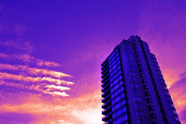 cheap apartment movers dublin