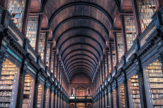 dublin moving companies