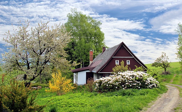 House Clearance Dublin