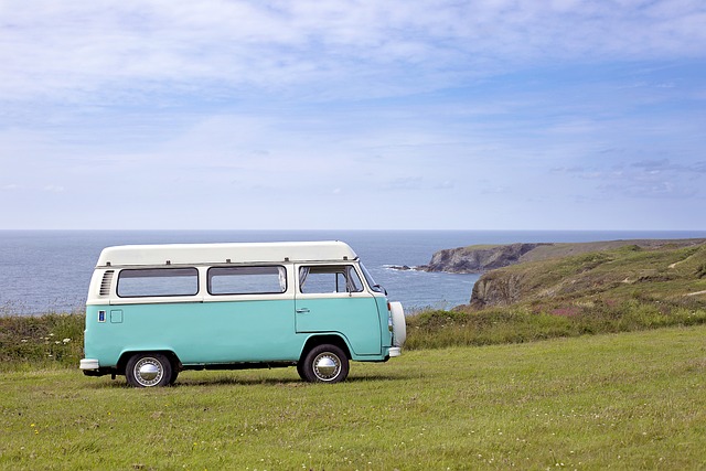 Man with a Van Dublin