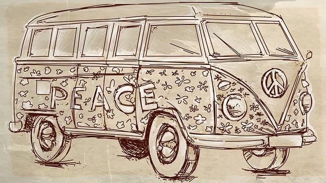 Man with a Van Lucan