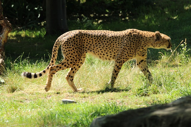 Movers, moving