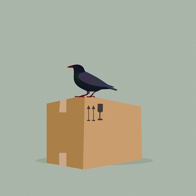 Movers, moving
