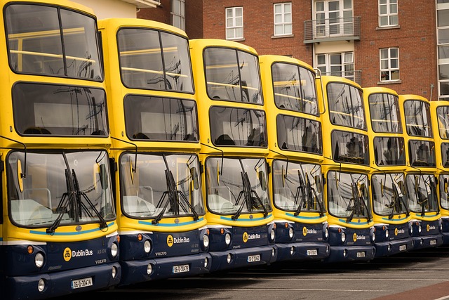 Moving Company Dublin 3