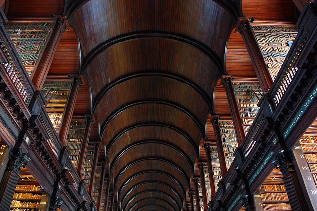 Moving Company Dublin 6