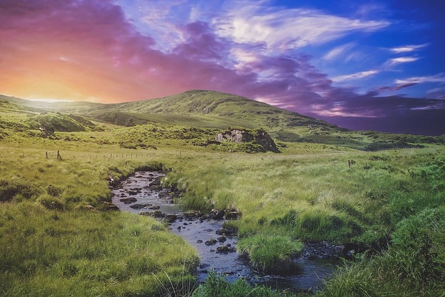 Moving Company Ireland to Australia