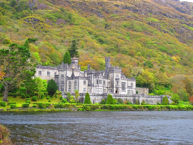 Moving Company Ireland to Germany