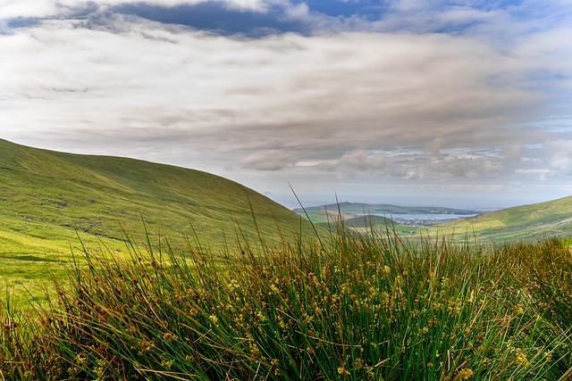 Moving Company Ireland to Germany