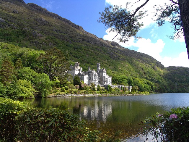 moving-company-ireland-to-spain-640x480-85963638.jpeg