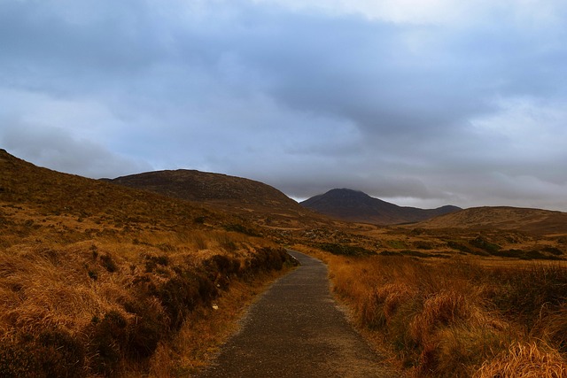 Moving Company Ireland to UK