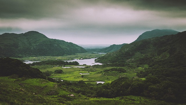 Moving Company Ireland to UK