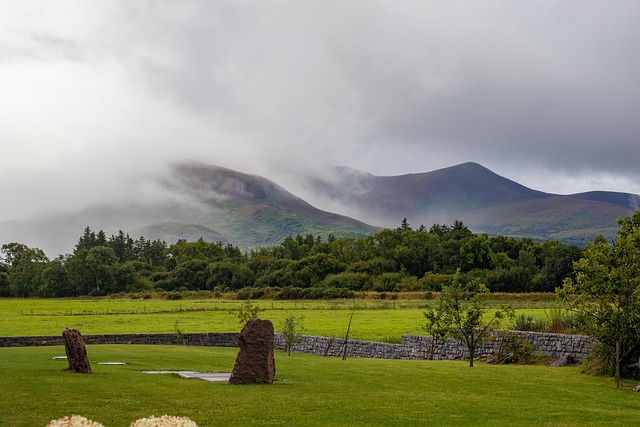 Moving Company Ireland to UK