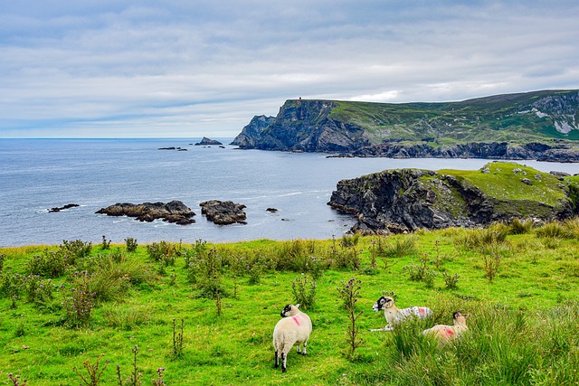 Moving Company Ireland to USA