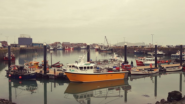Moving Company Monkstown Dublin 18