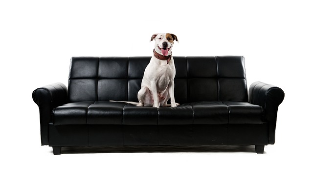 sofa removal near me