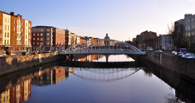 storage and moving dublin