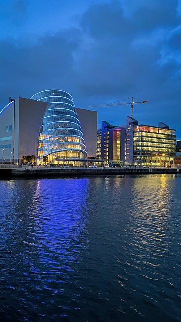 storage and moving dublin