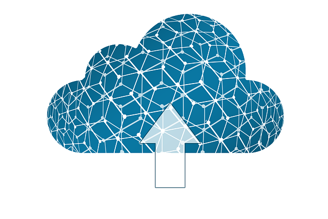 storage rental dublin