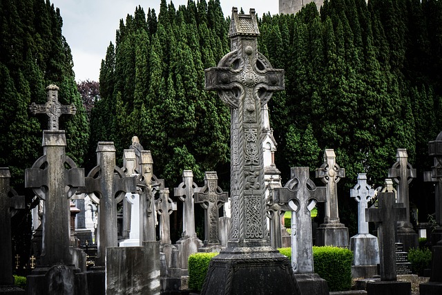 cheap removals dublin