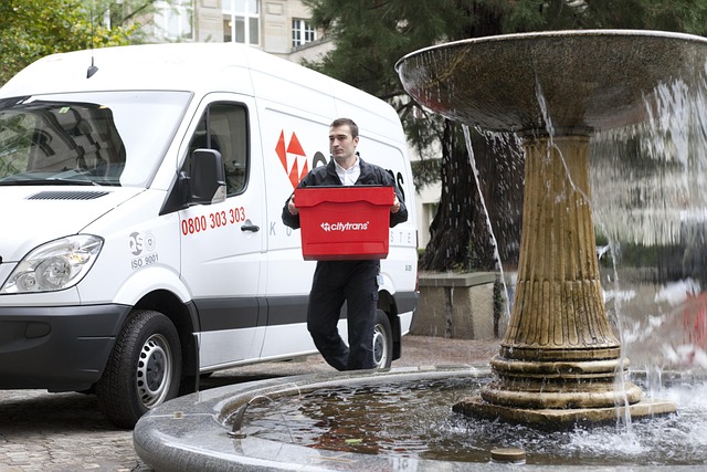 Man with a Van Lucan