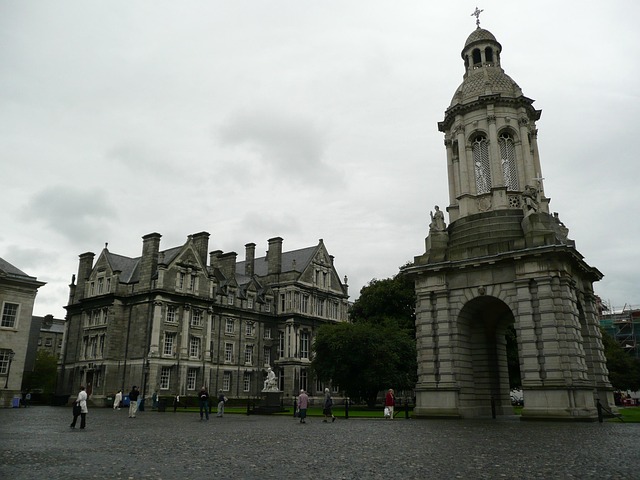Moving Company Dublin 3