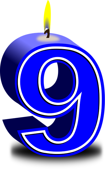 Moving Company Dublin 9