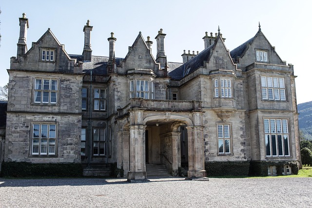Moving Company Ireland to Germany