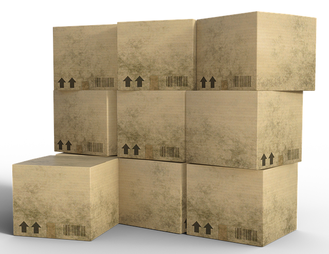 storage rental dublin