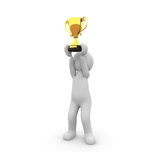 best moving company dublin