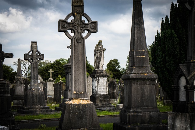 Dublin Movers