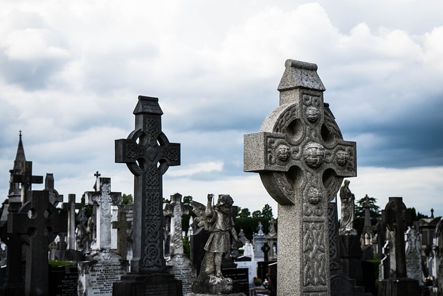 Dublin movers for bulky items