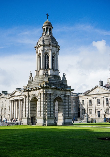 Dublin movers for bulky items