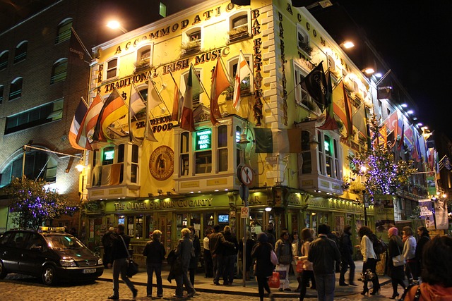 dublin moving companies