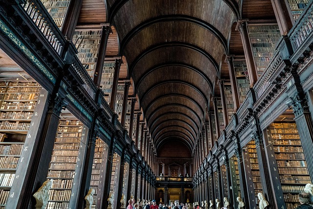 dublin moving companies