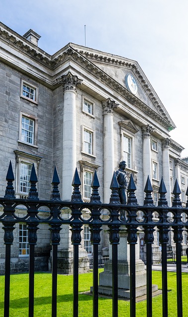 dublin moving companies