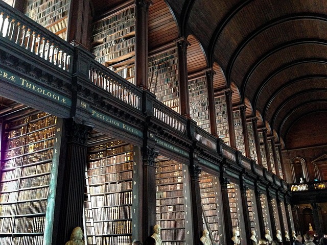 dublin-moving-company-640x480-85234936.jpeg