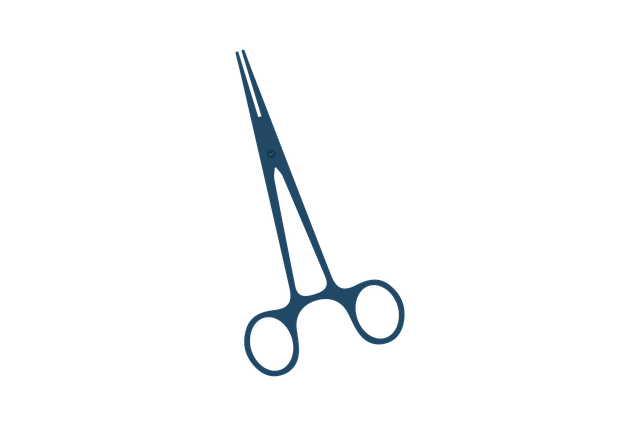 expert-removals-640x480-44529460.png