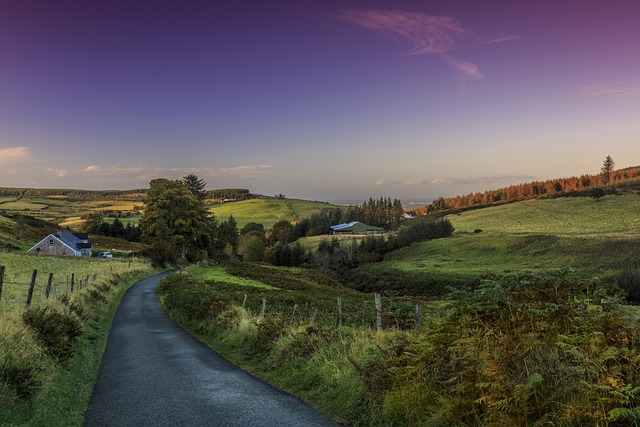 how much does it cost to move house in dublin