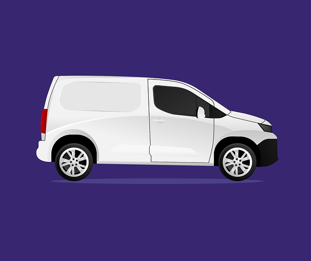 Man with a Van Lucan
