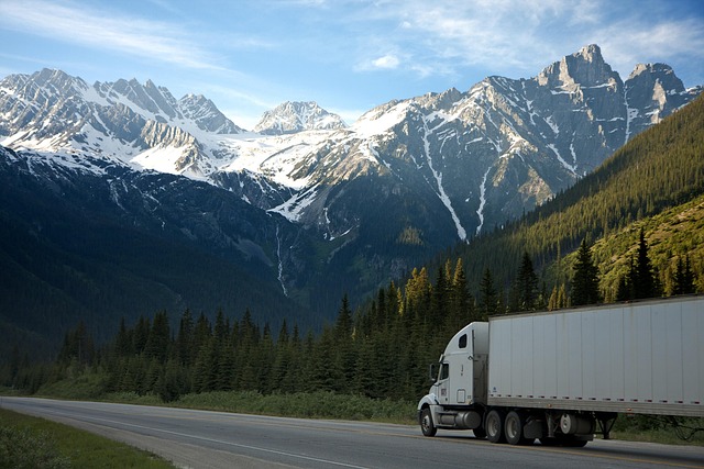 Movers, moving