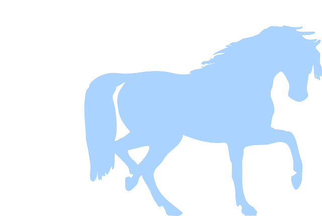 movers-moving-640x480-62833474.png