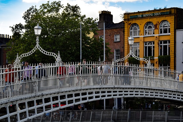 Moving Company Blackrock Dublin 4