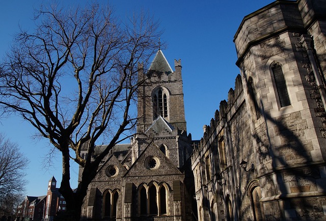 Moving Company Blackrock Dublin 4