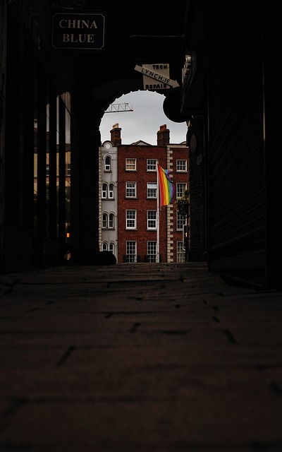 Moving Company Dublin 11