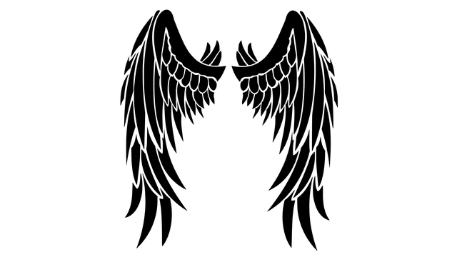 moving-company-dublin-2-640x480-30220025.png