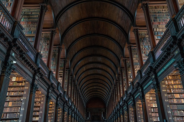 Moving Company Dublin