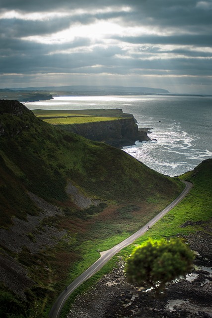 Moving Company Ireland to Australia