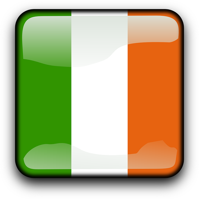 Moving Company Ireland to Germany