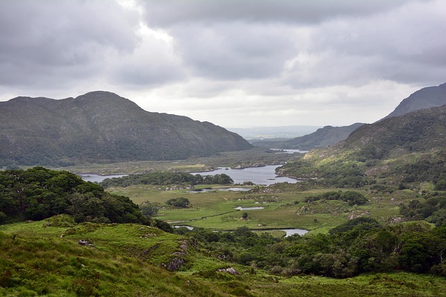 Moving Company Ireland to Germany